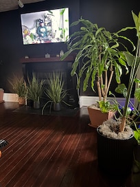 Comfy sofa with Awesome plants and huge kitchen table dining area off the kitchen.