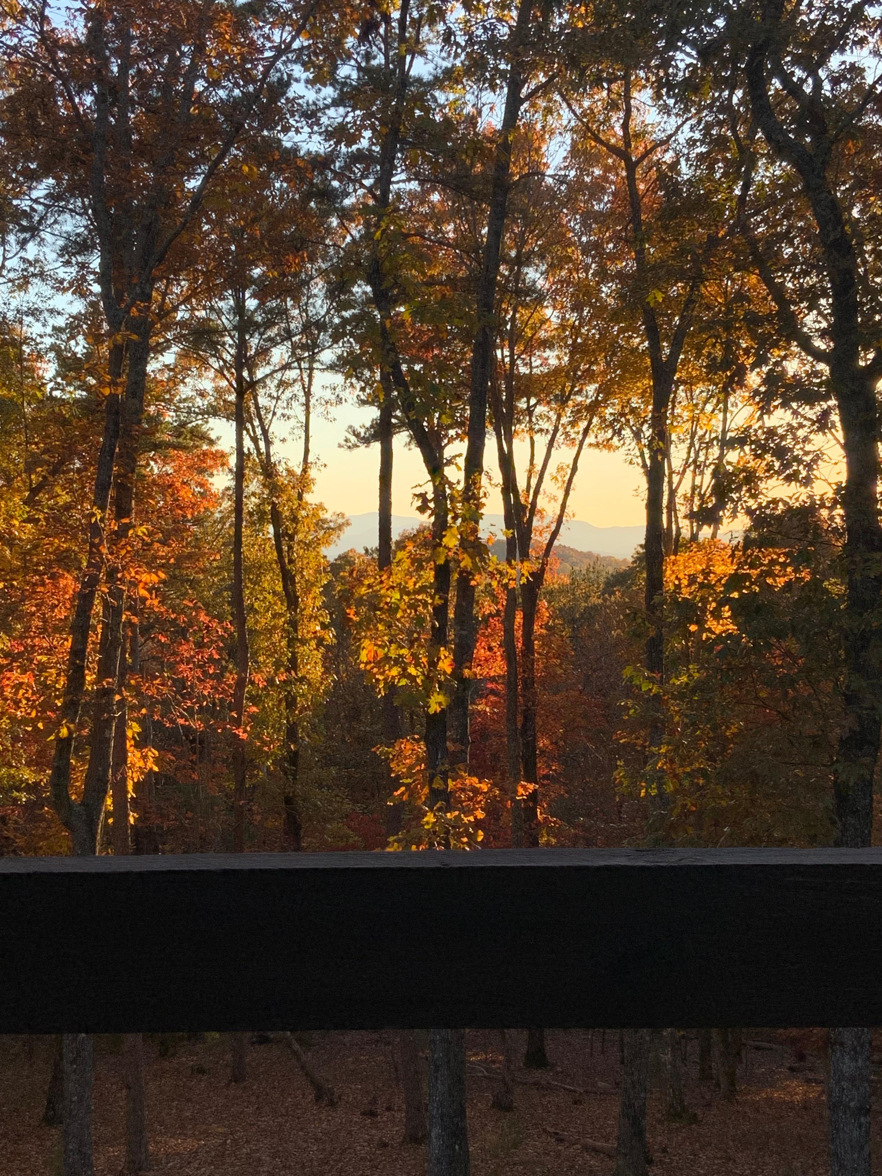 The view off the back deck