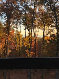 The view off the back deck