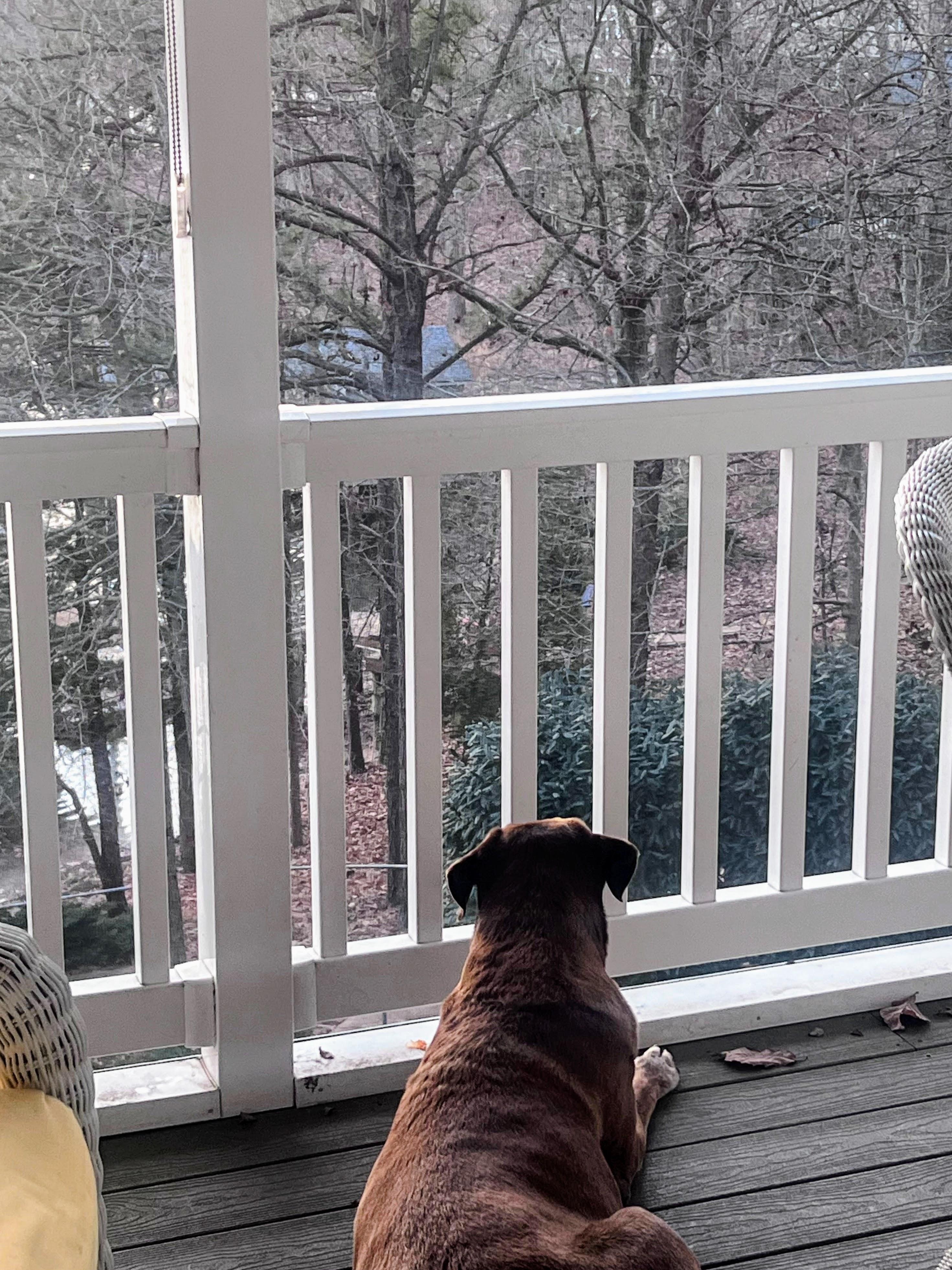 Family member watching visitors