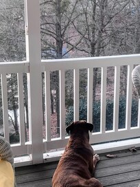 Family member watching visitors