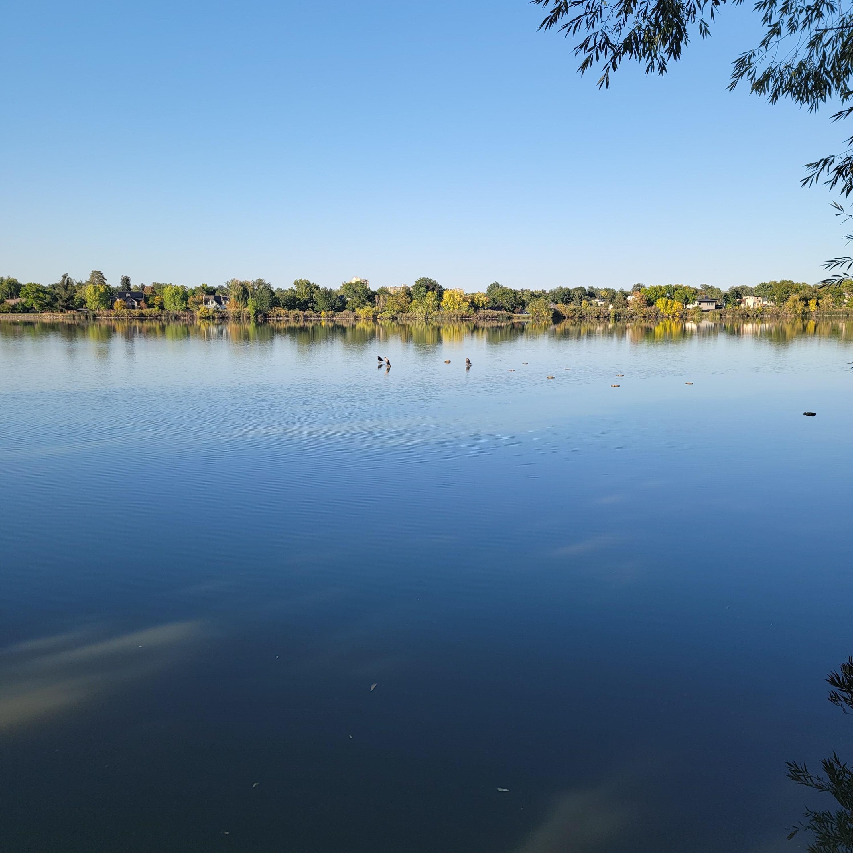 Sloan Lake within 2 blocks