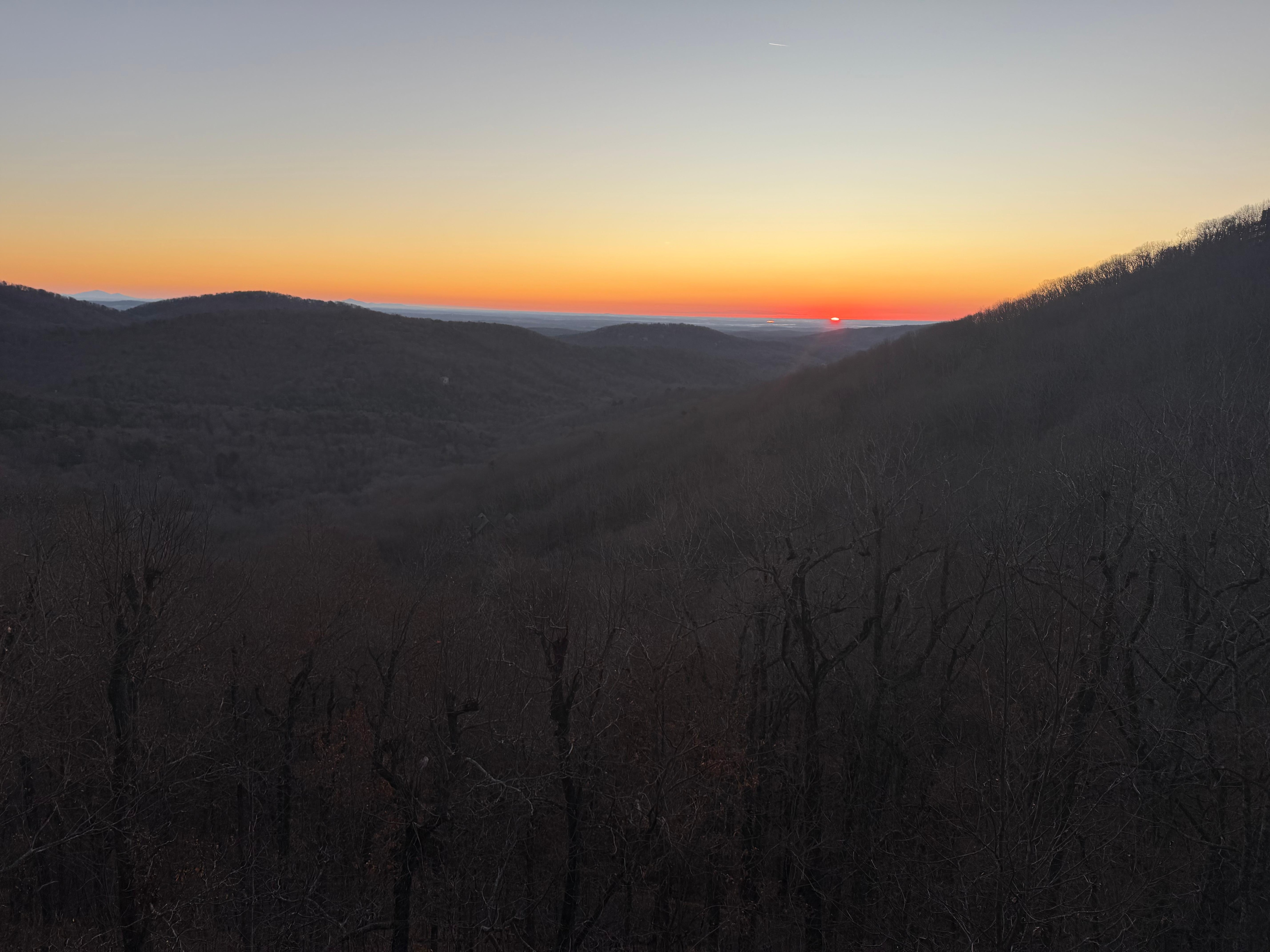 View from back porch. 