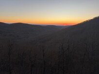 View from back porch.