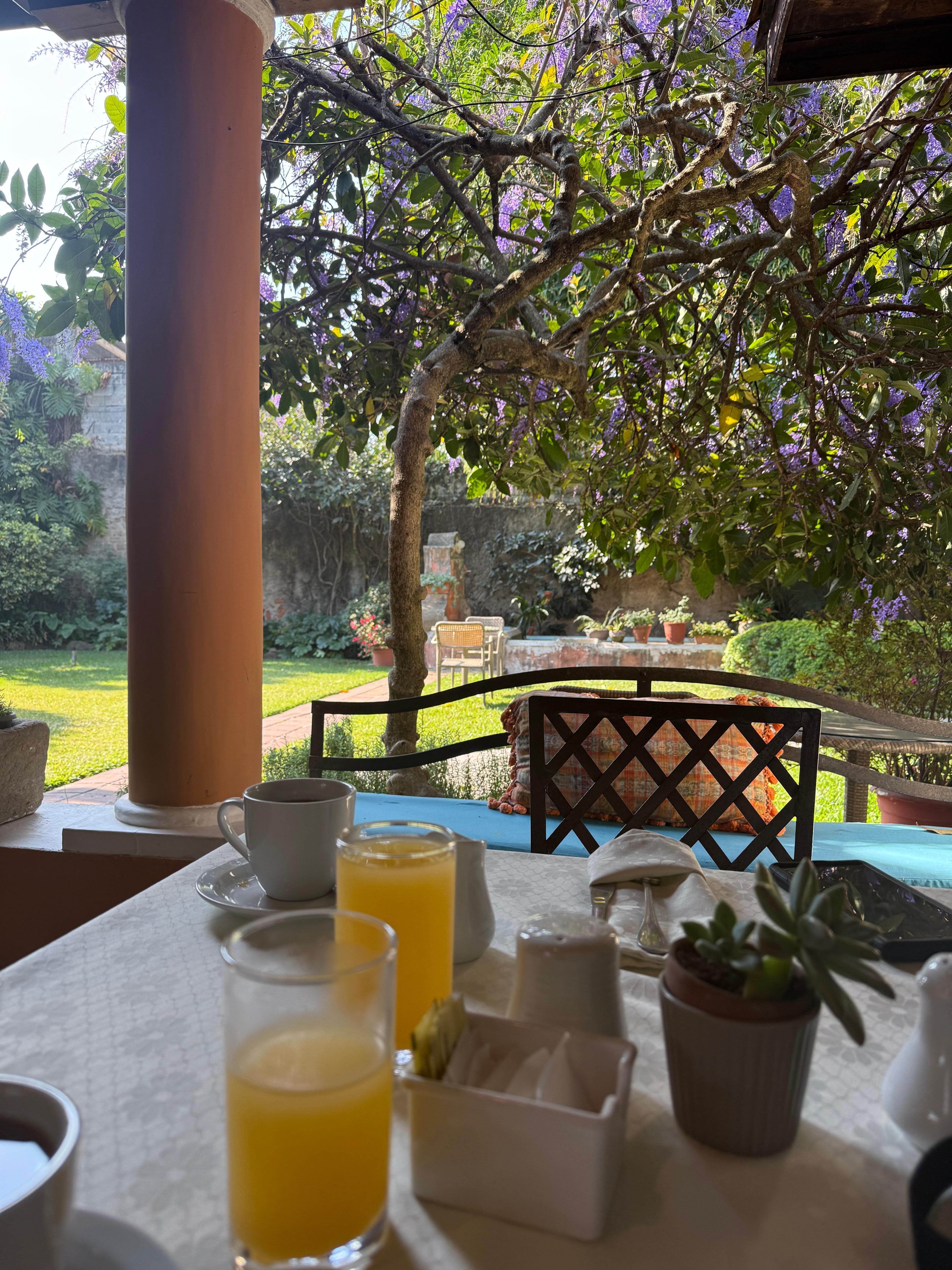 Breakfast view