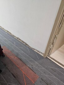 Baseboards completely torn out and bugs stuck to wall