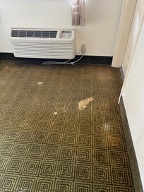 Passages have huge stains all over, smelt like urine.