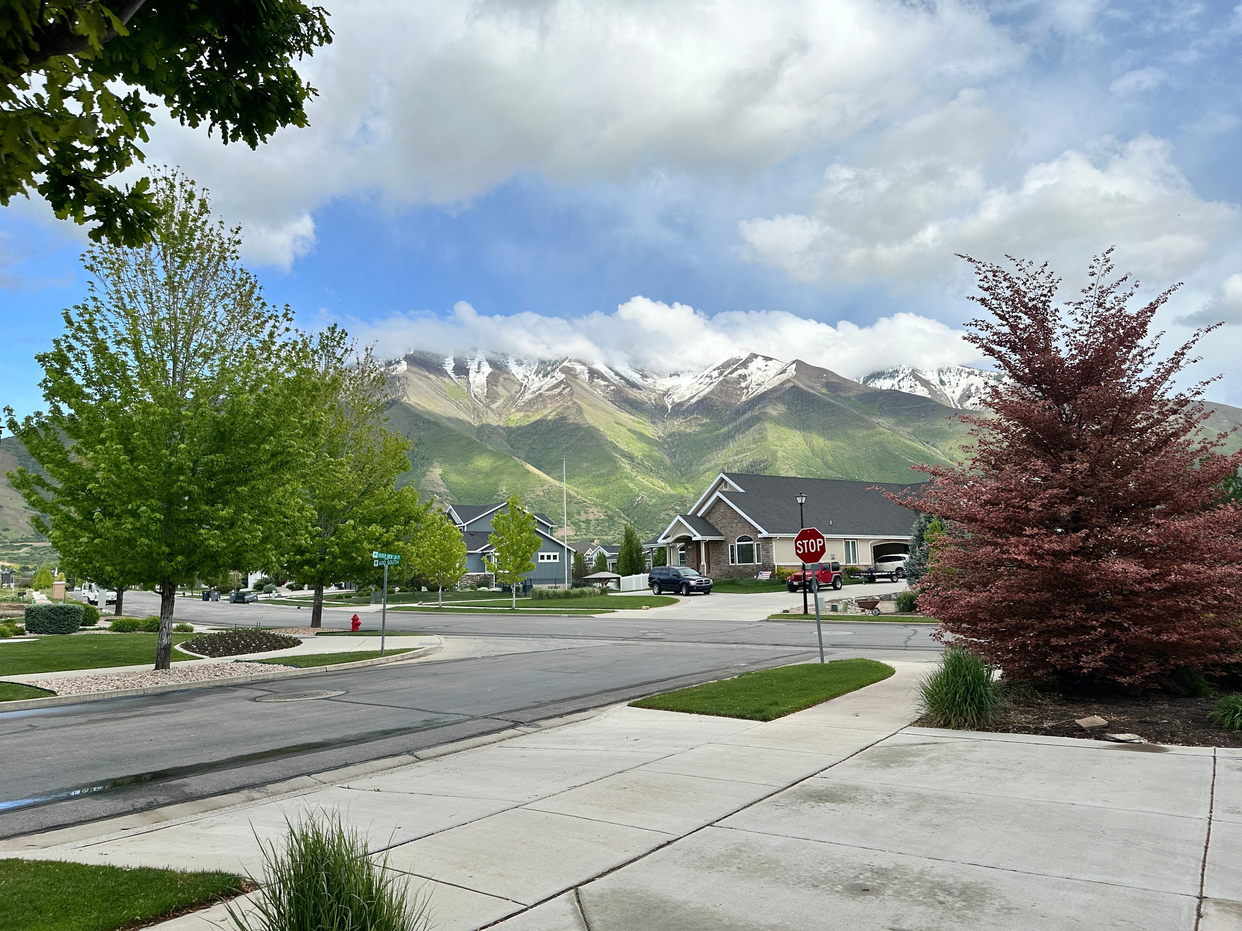 View from the driveway 