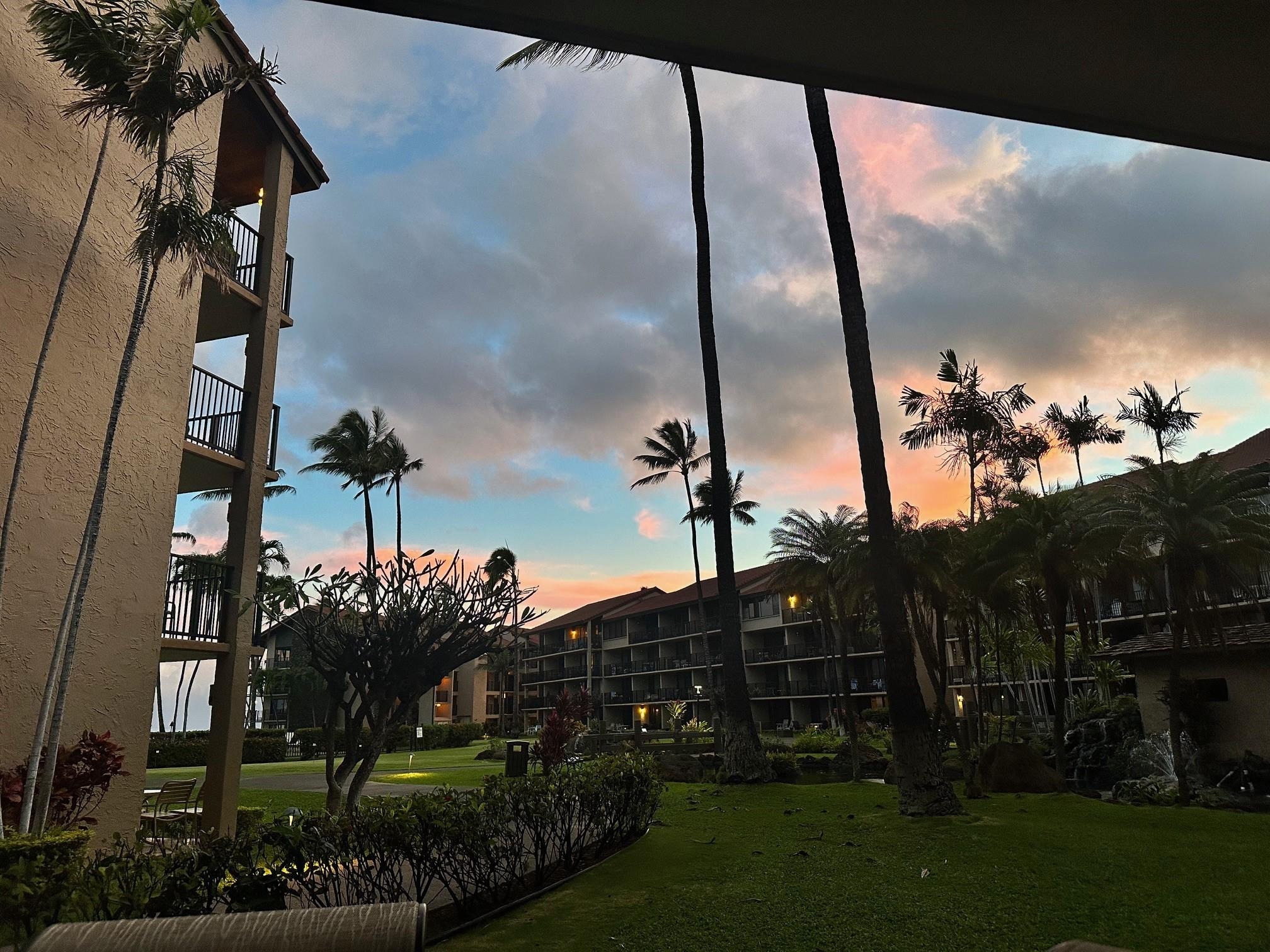 View from the patio. 