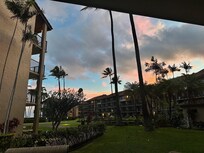 View from the patio.