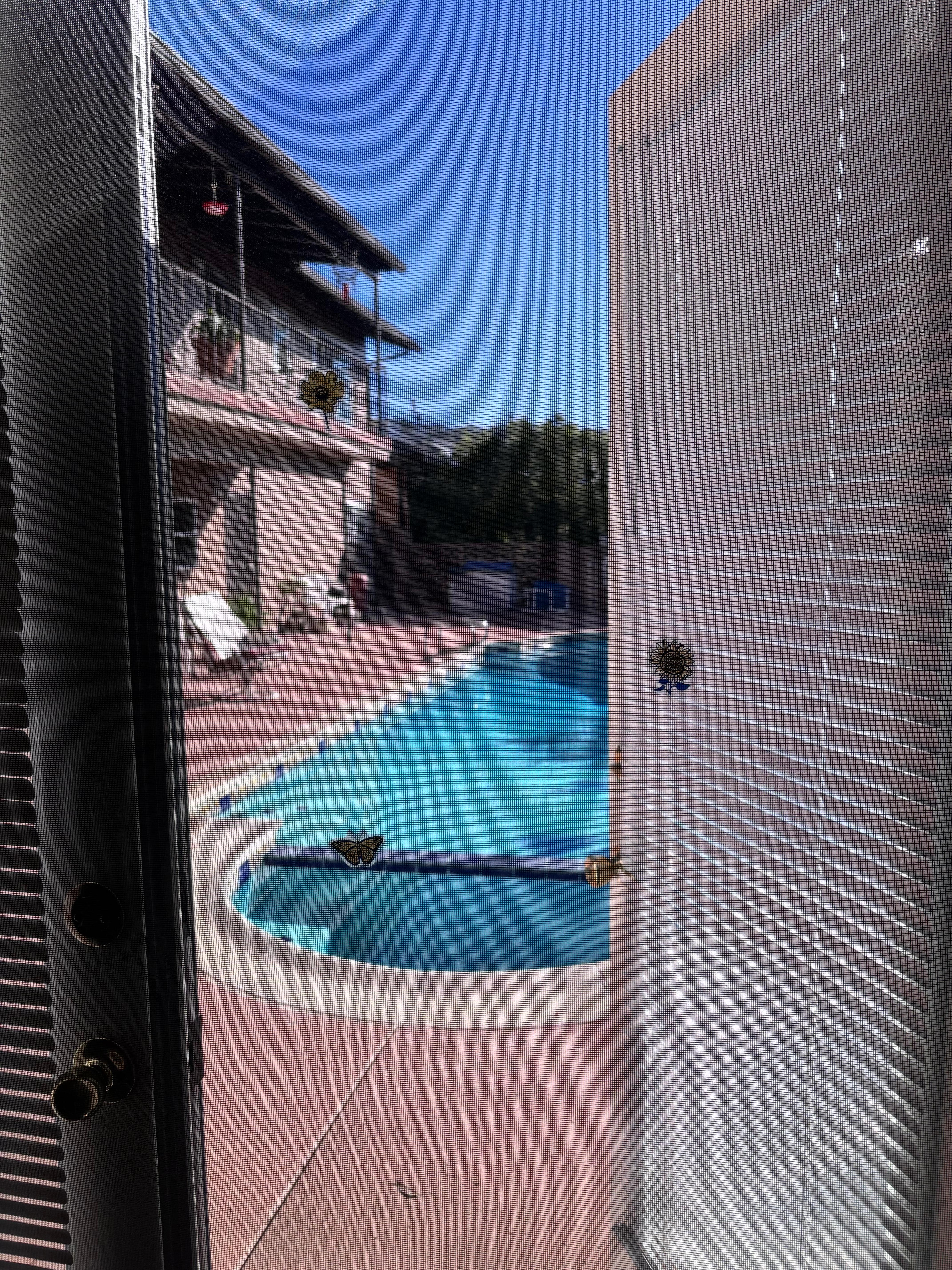 Looking out our room at the pool and hummingbirds. 