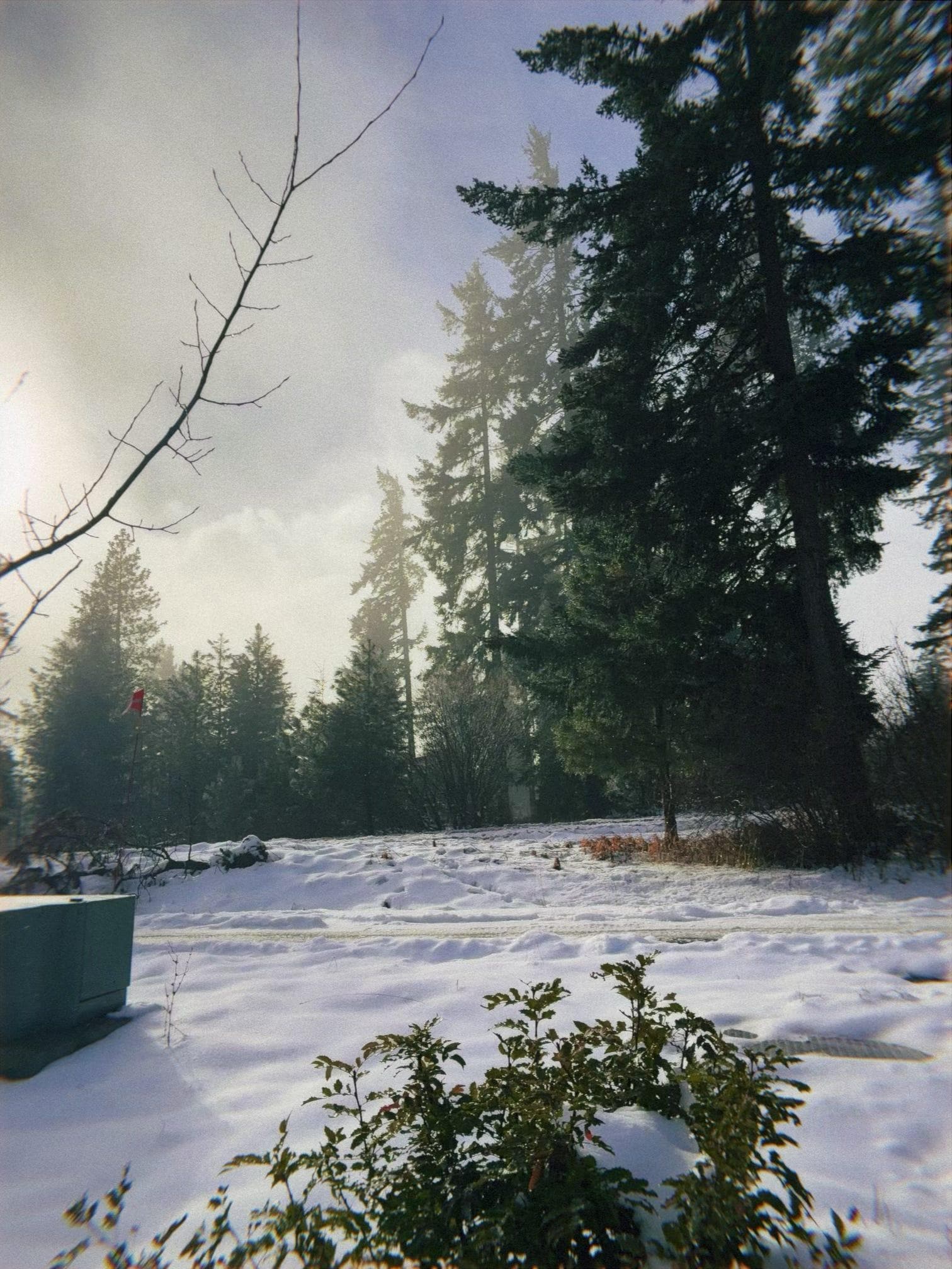 Nice backyard view, open space 