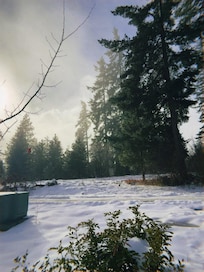Nice backyard view, open space