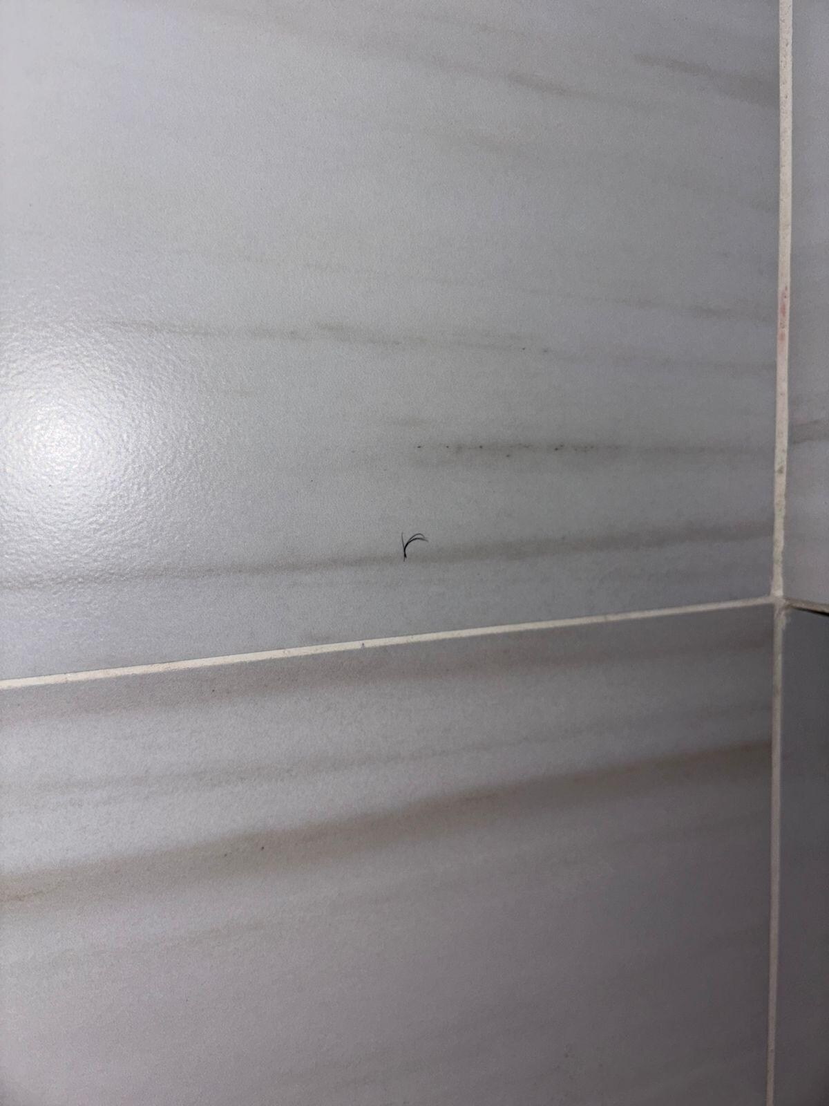 PELOS EN LA REGADERA
