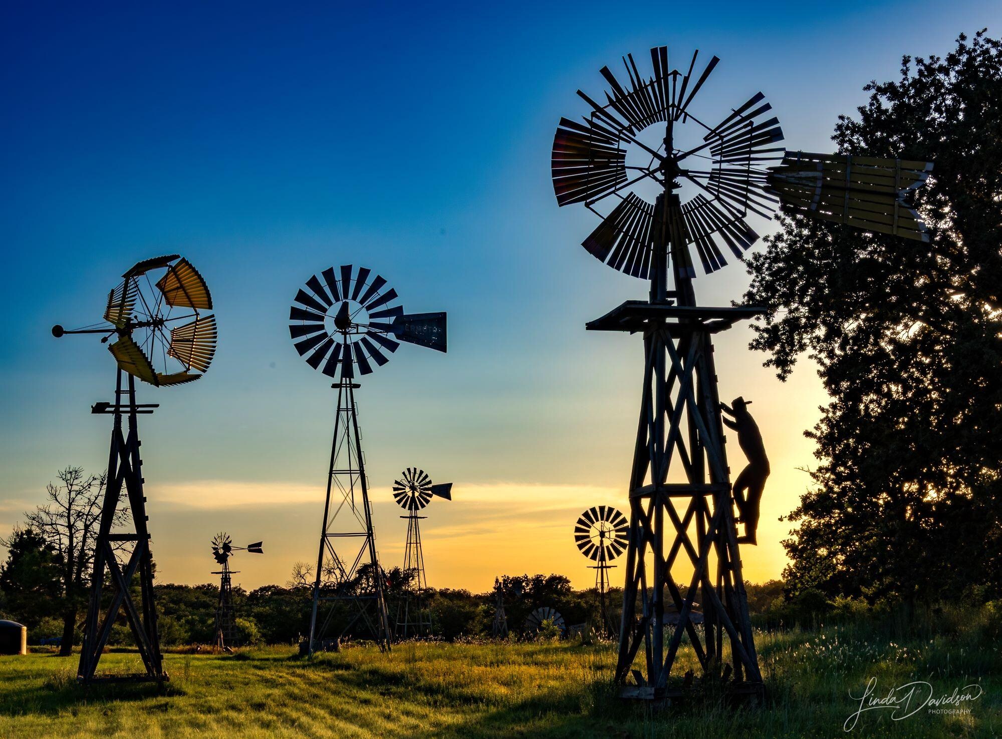 Sunset at the Windmill Farm in Toler, Texas