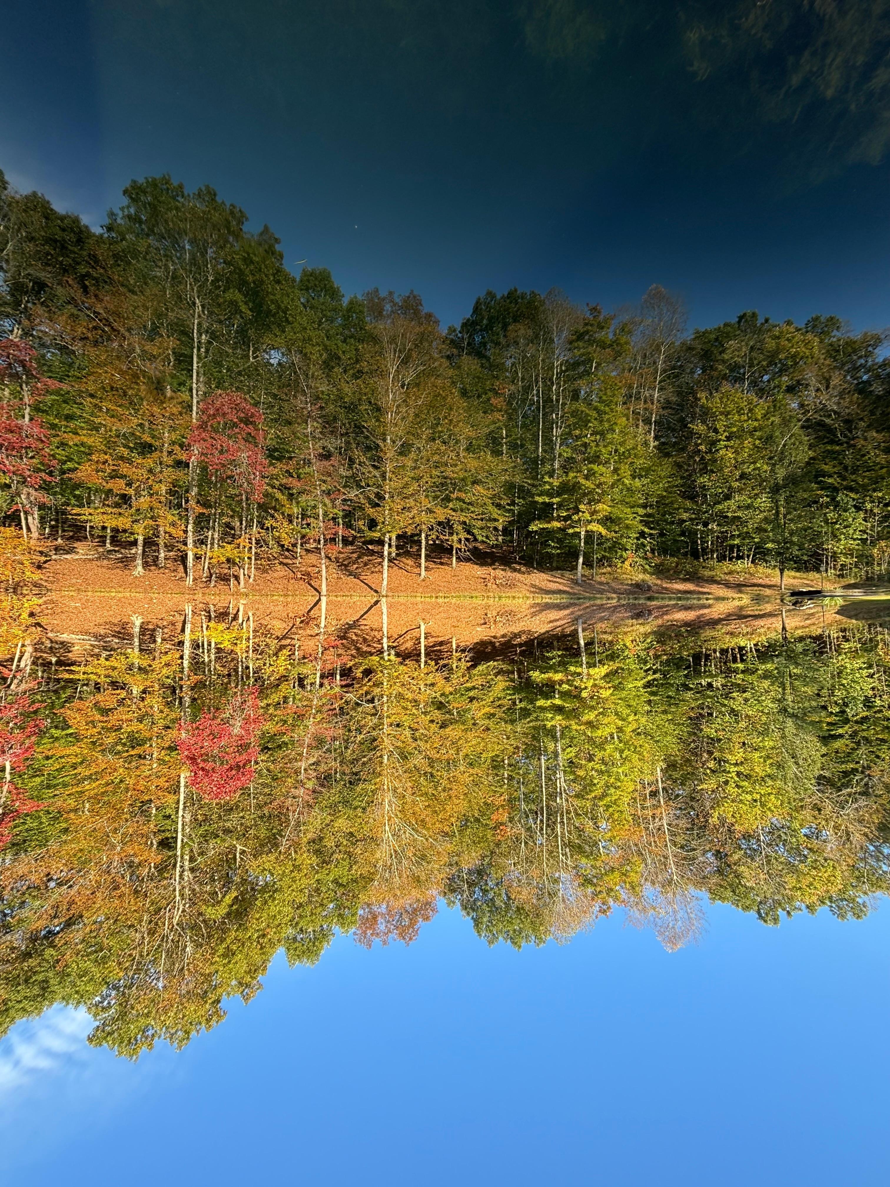 Reality is upside down. Top is the reflection. :)