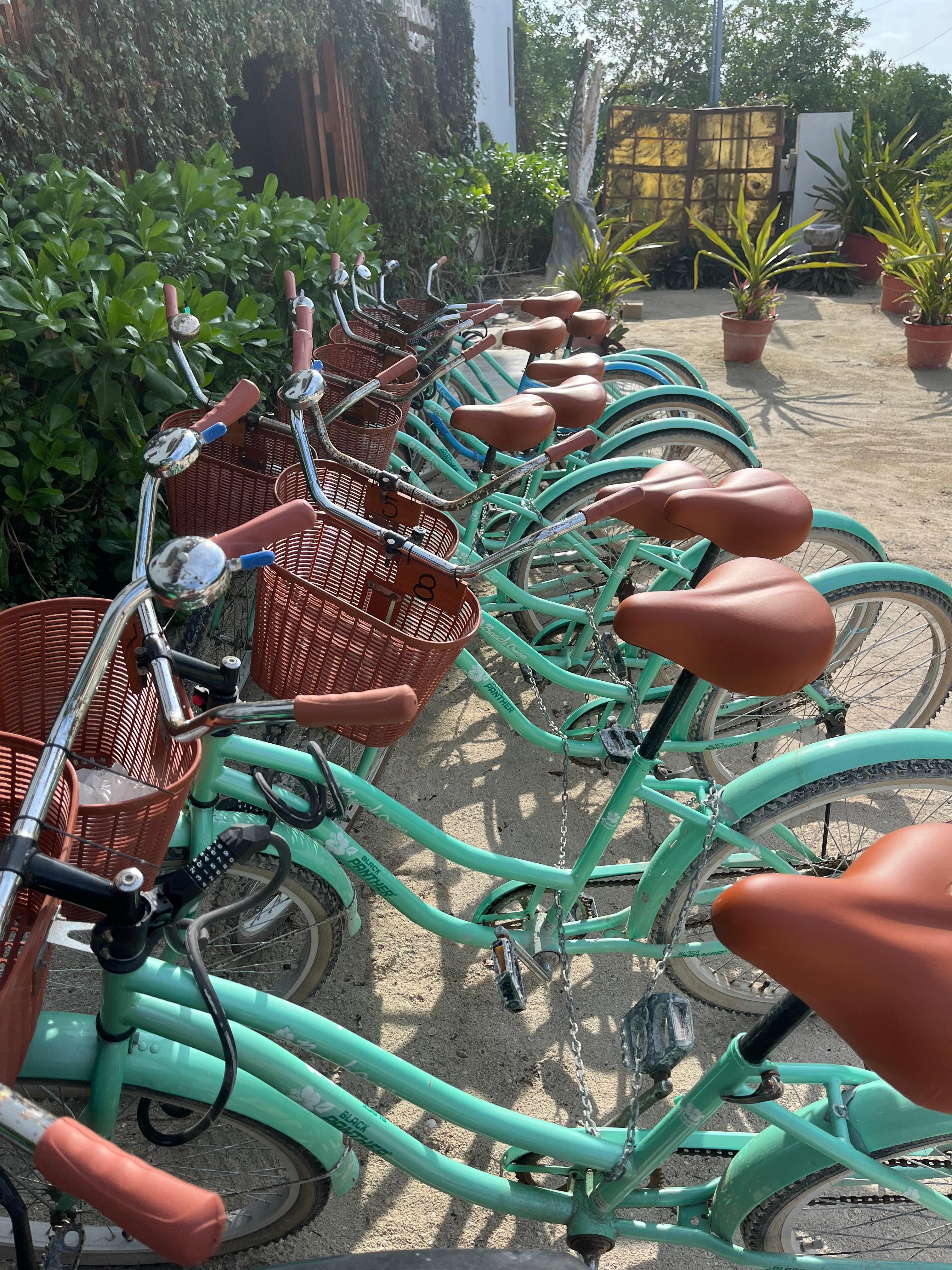 Bikes available to rent, and better quality than some other rust buckets you might find around town. 