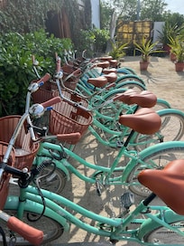 Bikes available to rent, and better quality than some other rust buckets you might find around town.