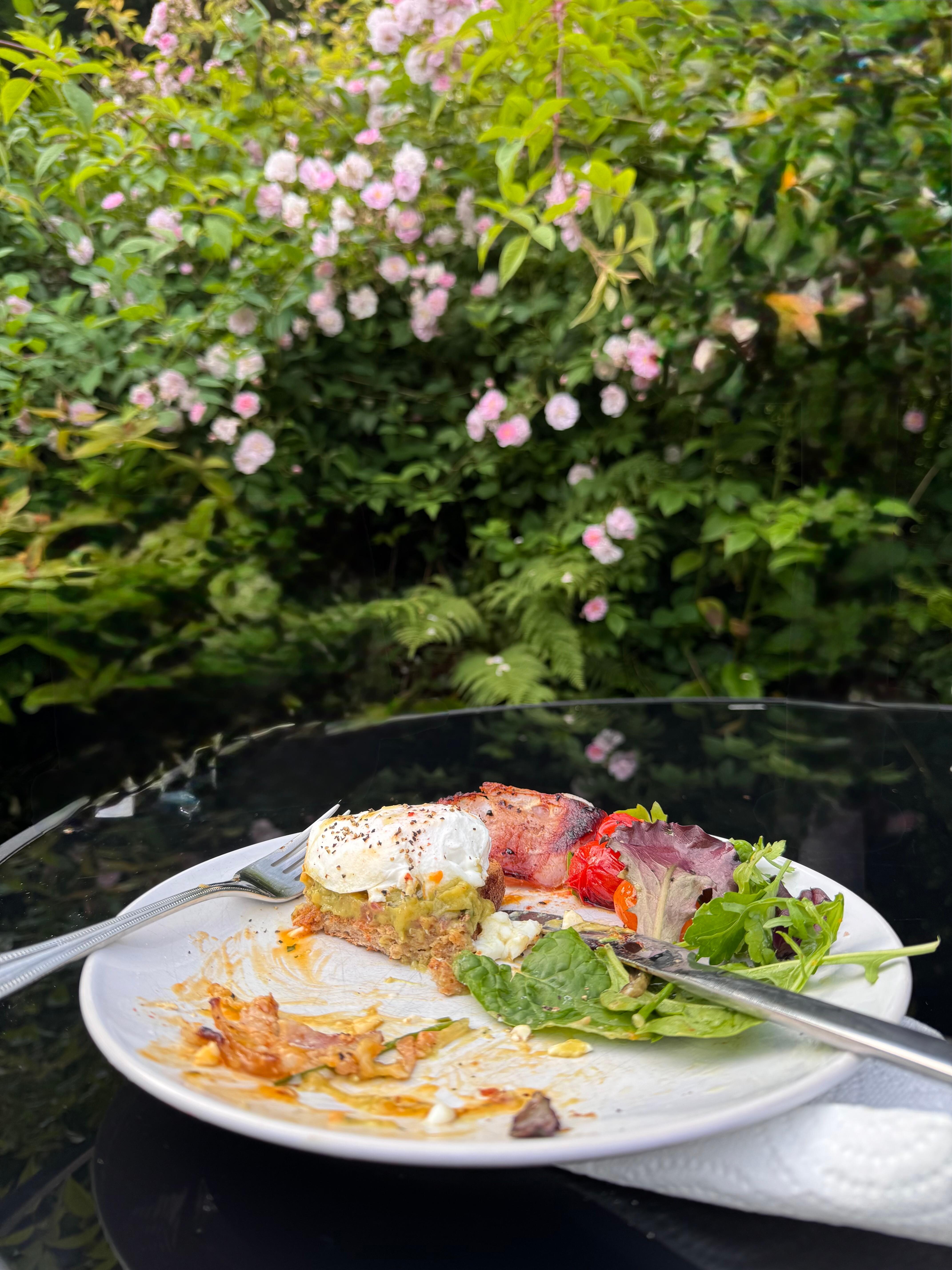 Breakfast in the garden