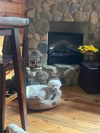 Gracie enjoyed the cabin too.