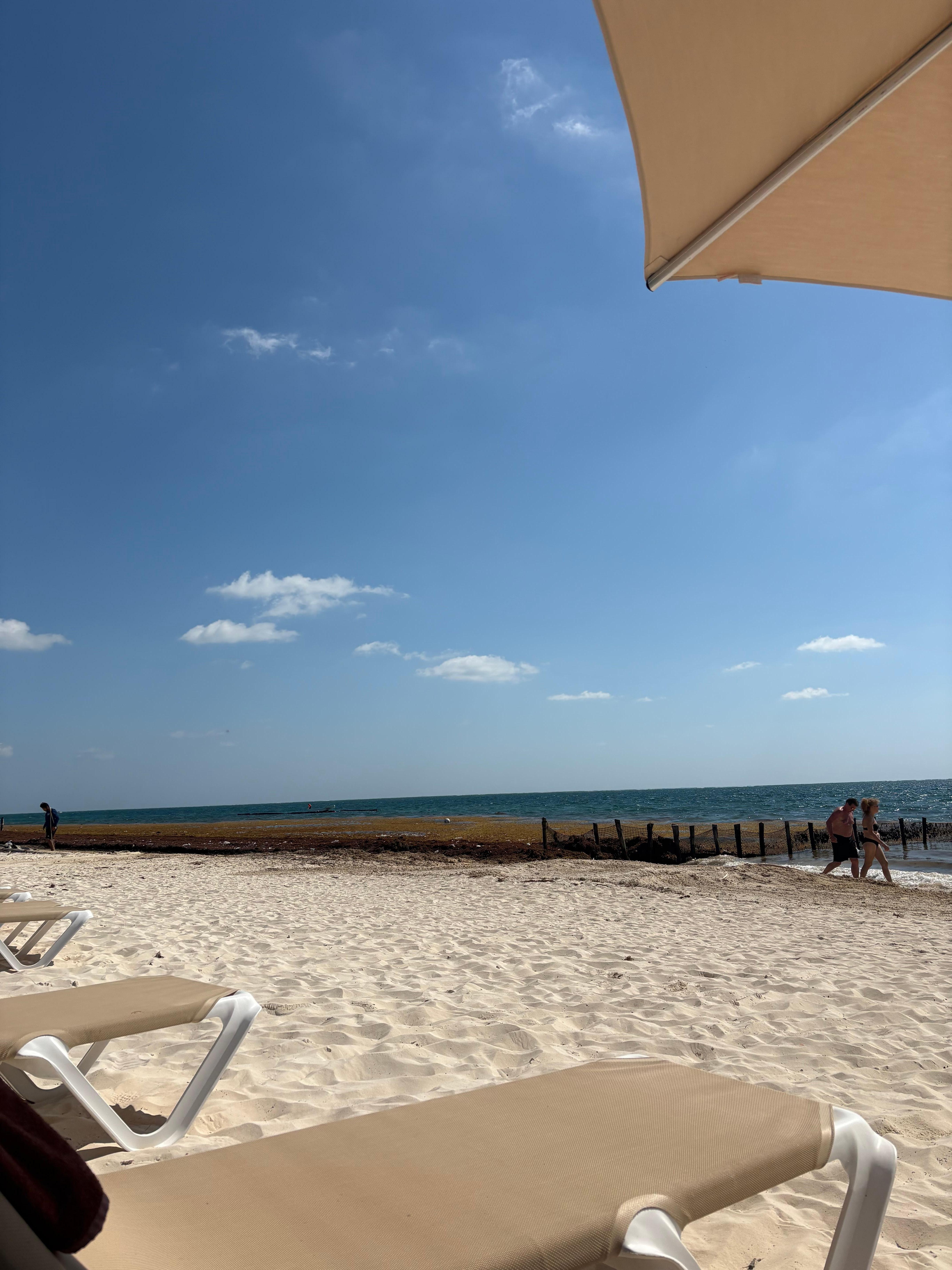 This was taken after three dump truck loads of seaweed were taken away from the neighboring property. 