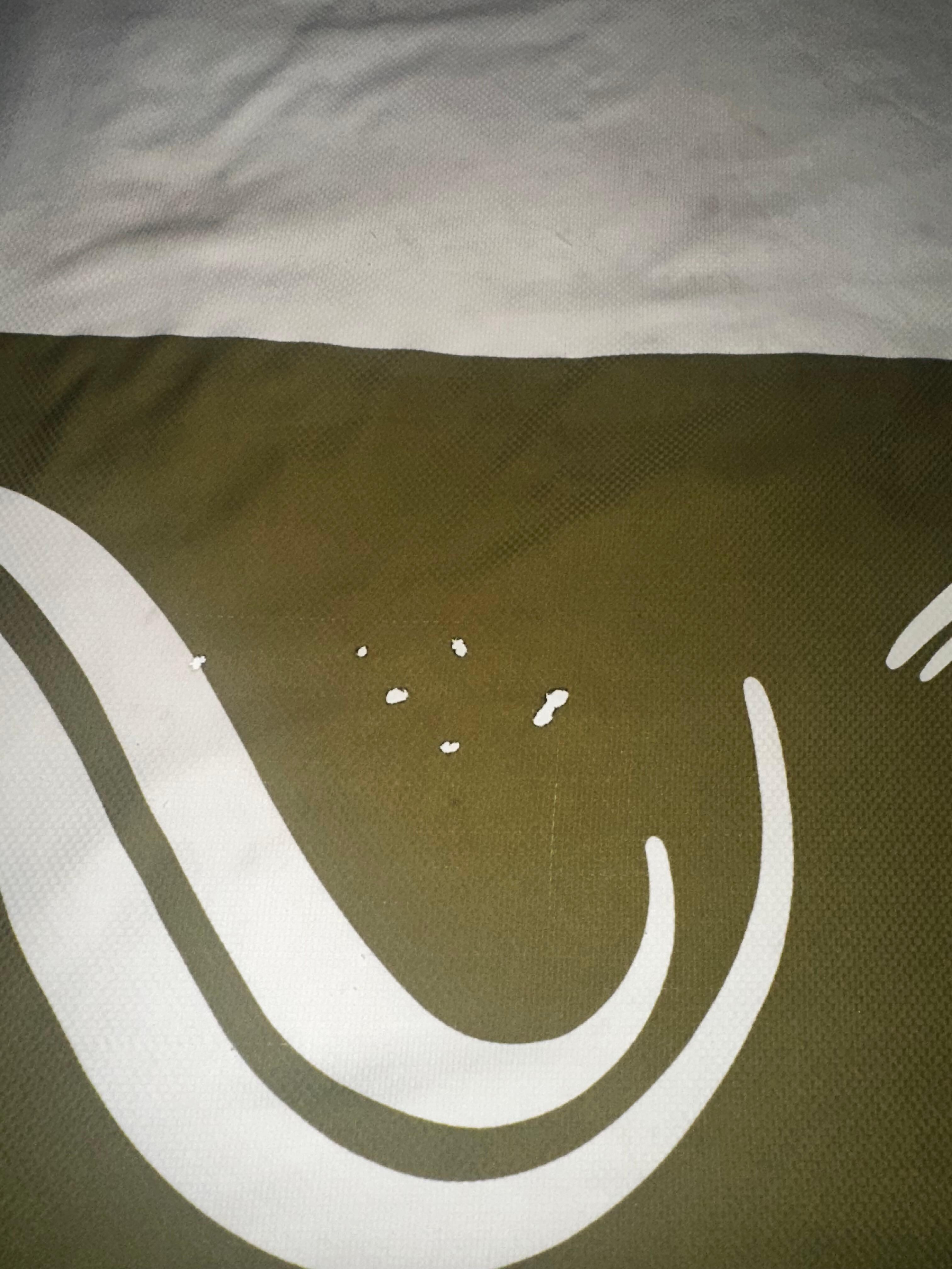 Burn marks on comforter