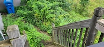 Back stairs leading to overgrowth