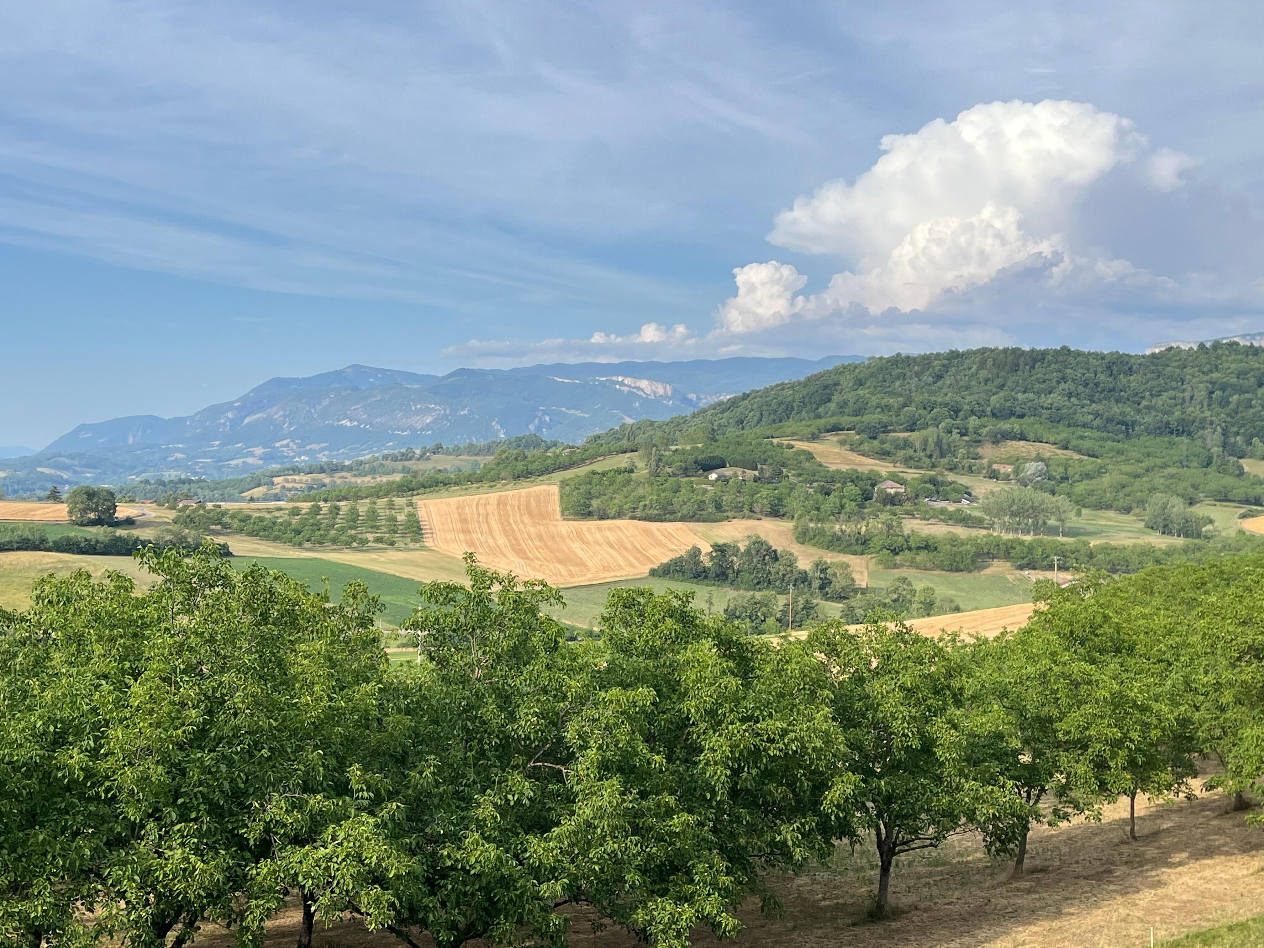 Vue depuis la terrasse 