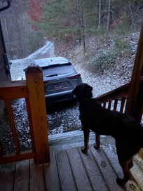 Our dog’s first snow!