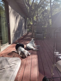 January sunbathing