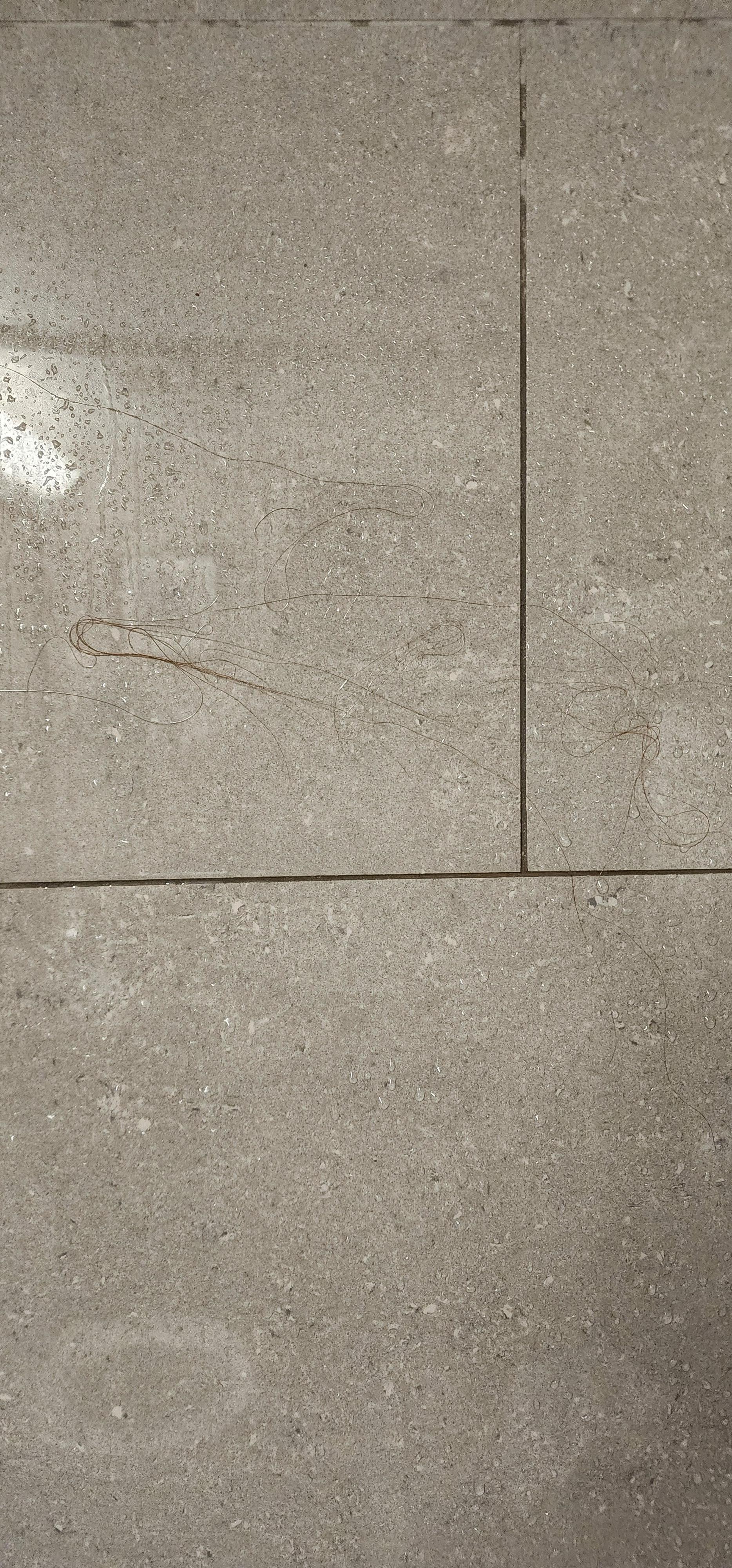 Hair on the shower walls