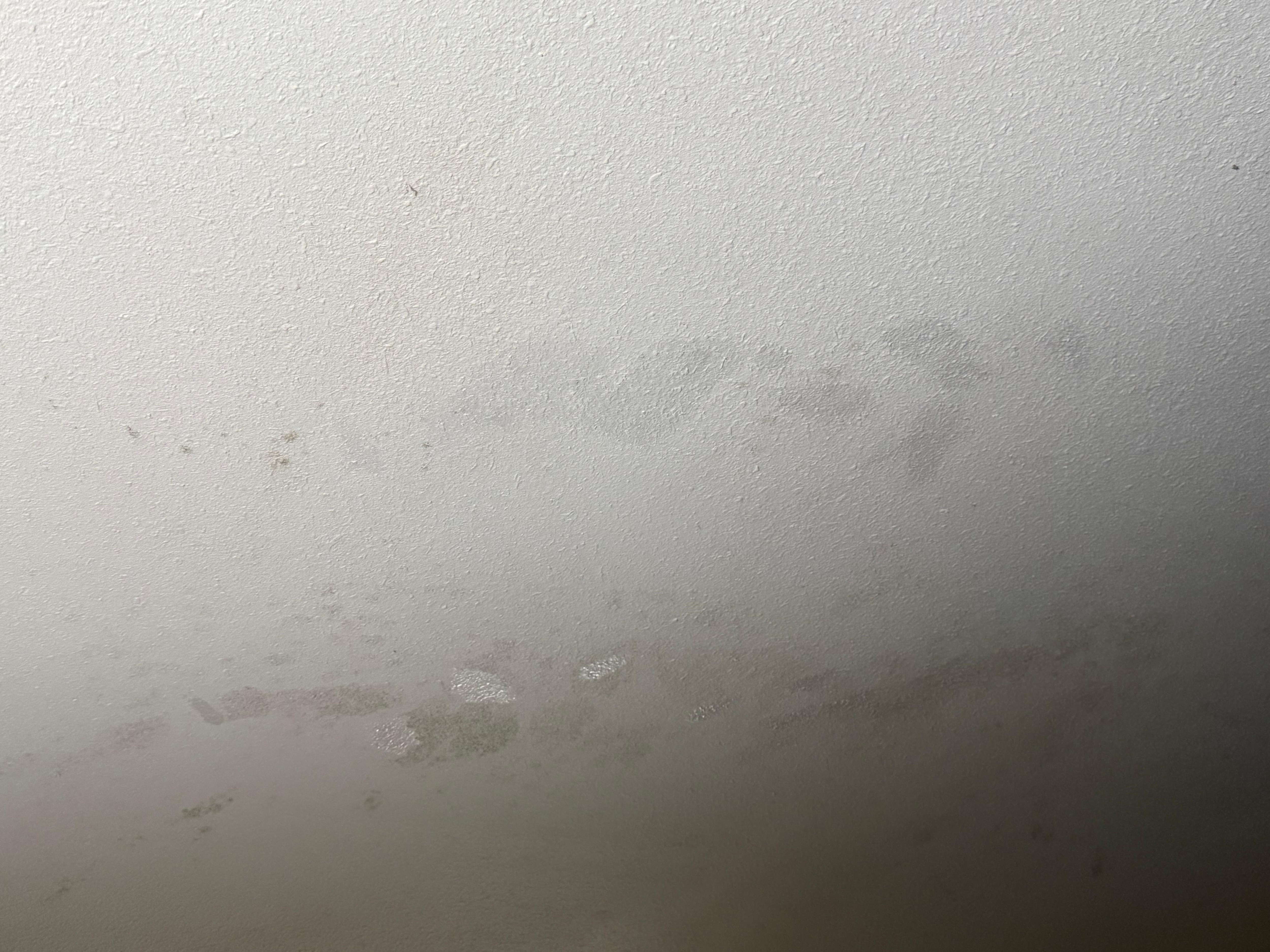Stains/spots/mold on the ceiling
