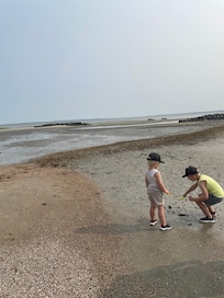 Seashell hunting