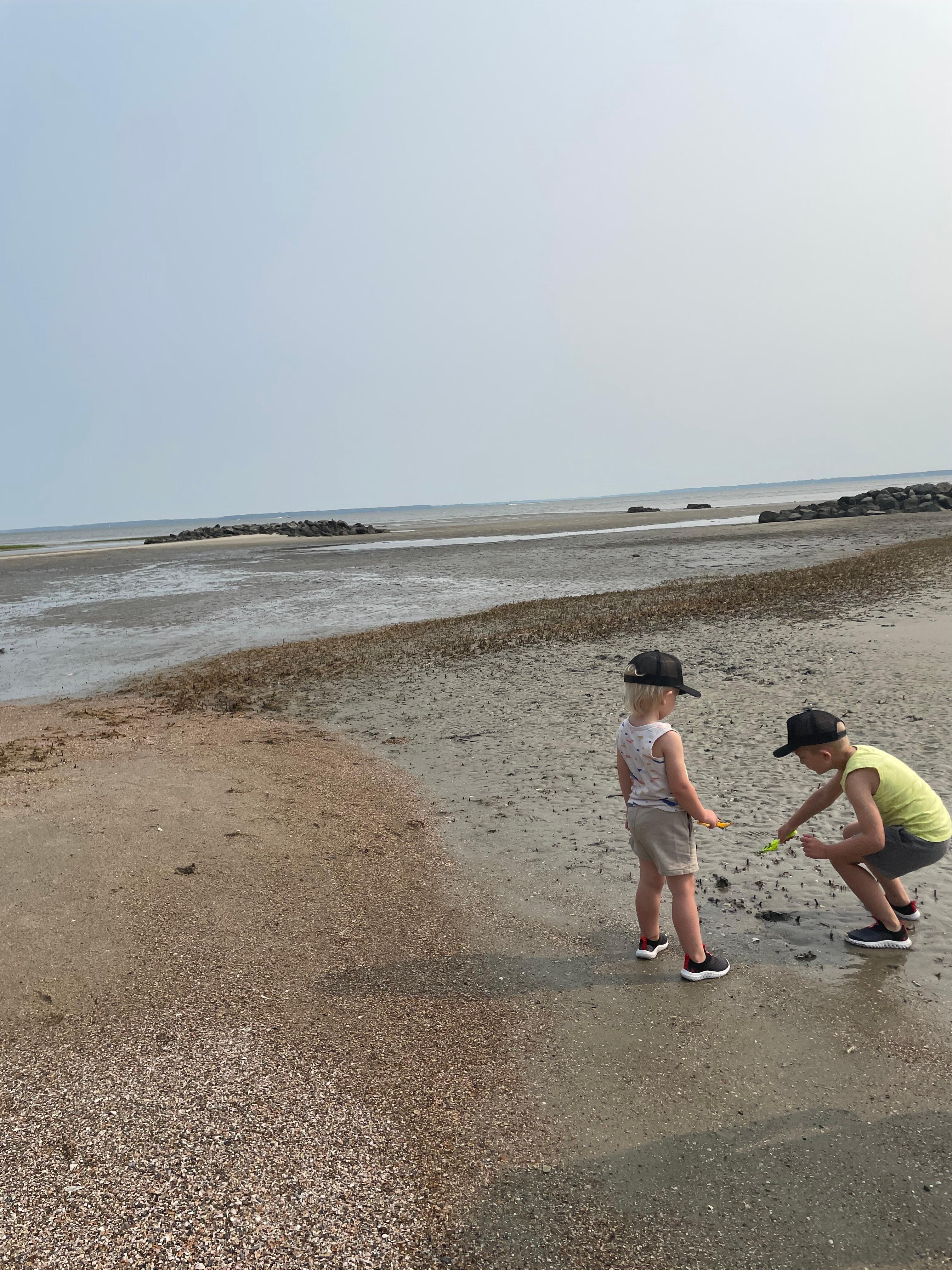 Seashell hunting 