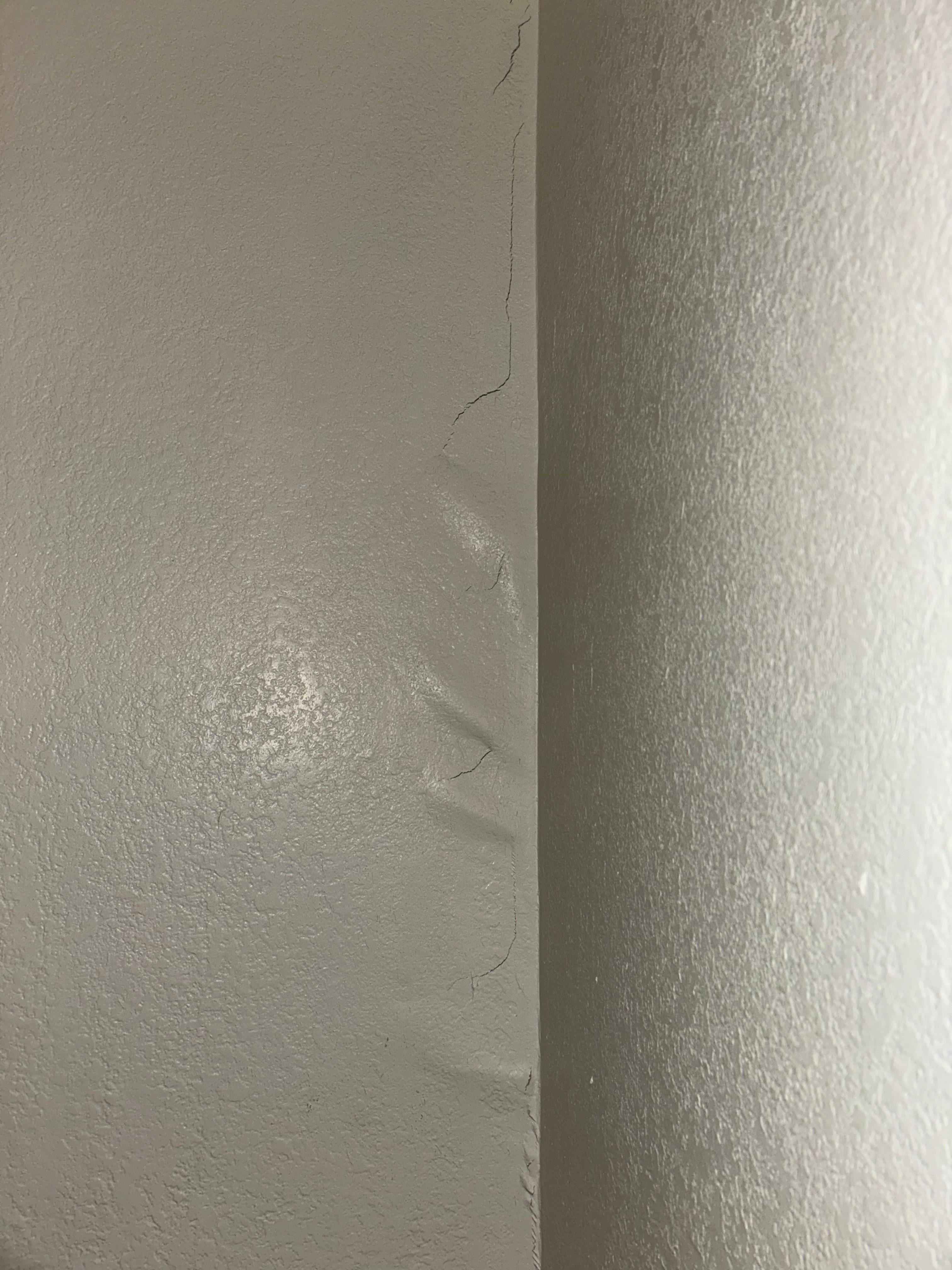 Crack in foundation 