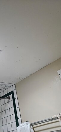 They wiped the mold and put a new family with 3 children after us, but I know mold spreads through the carpet and everything once it is established and it looked like mold had been there a while in the paint on ceiling and walls and tile in bathroom.