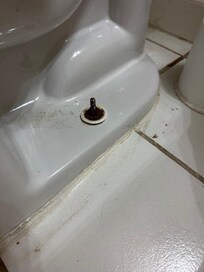 Absolutely disgusting!