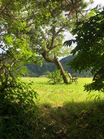 Plätzchen vor dem Haus