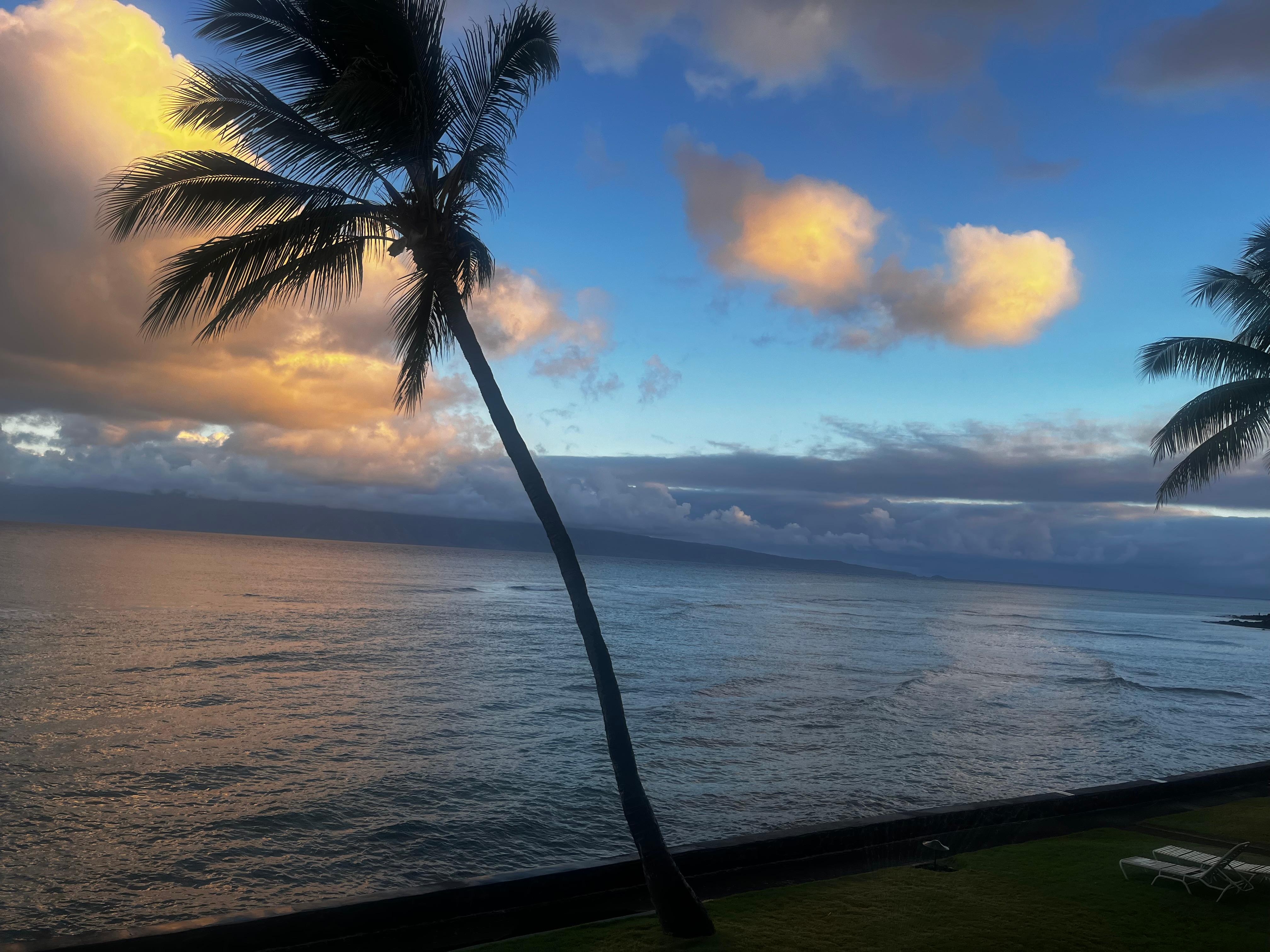 Shot from lanai