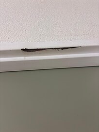 Neglected wall painted