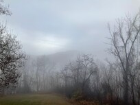 Spooky morning fog cloud