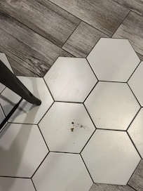 Unswept floor