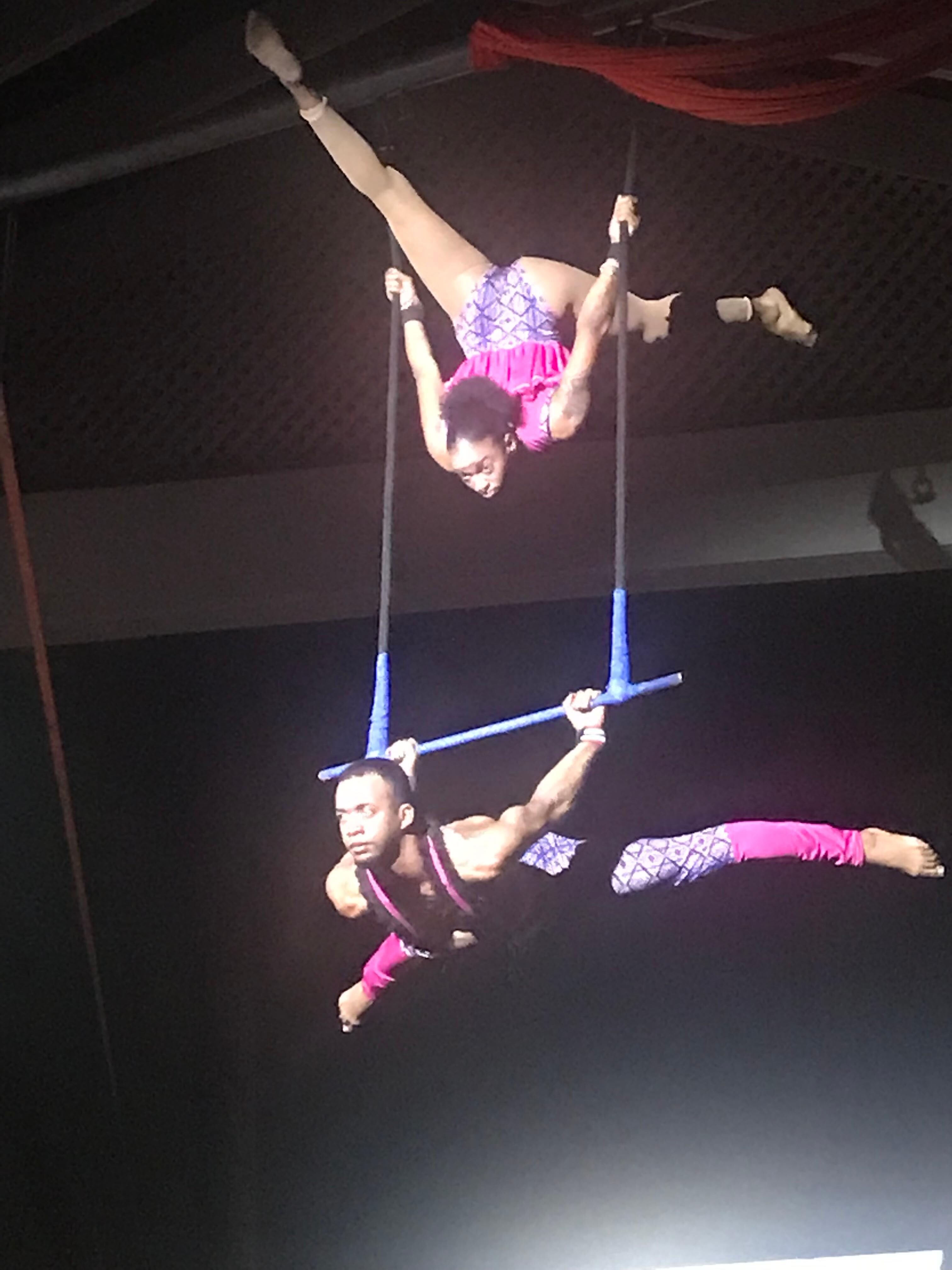 The Circus Show
