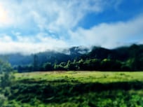 On the way from Bandon