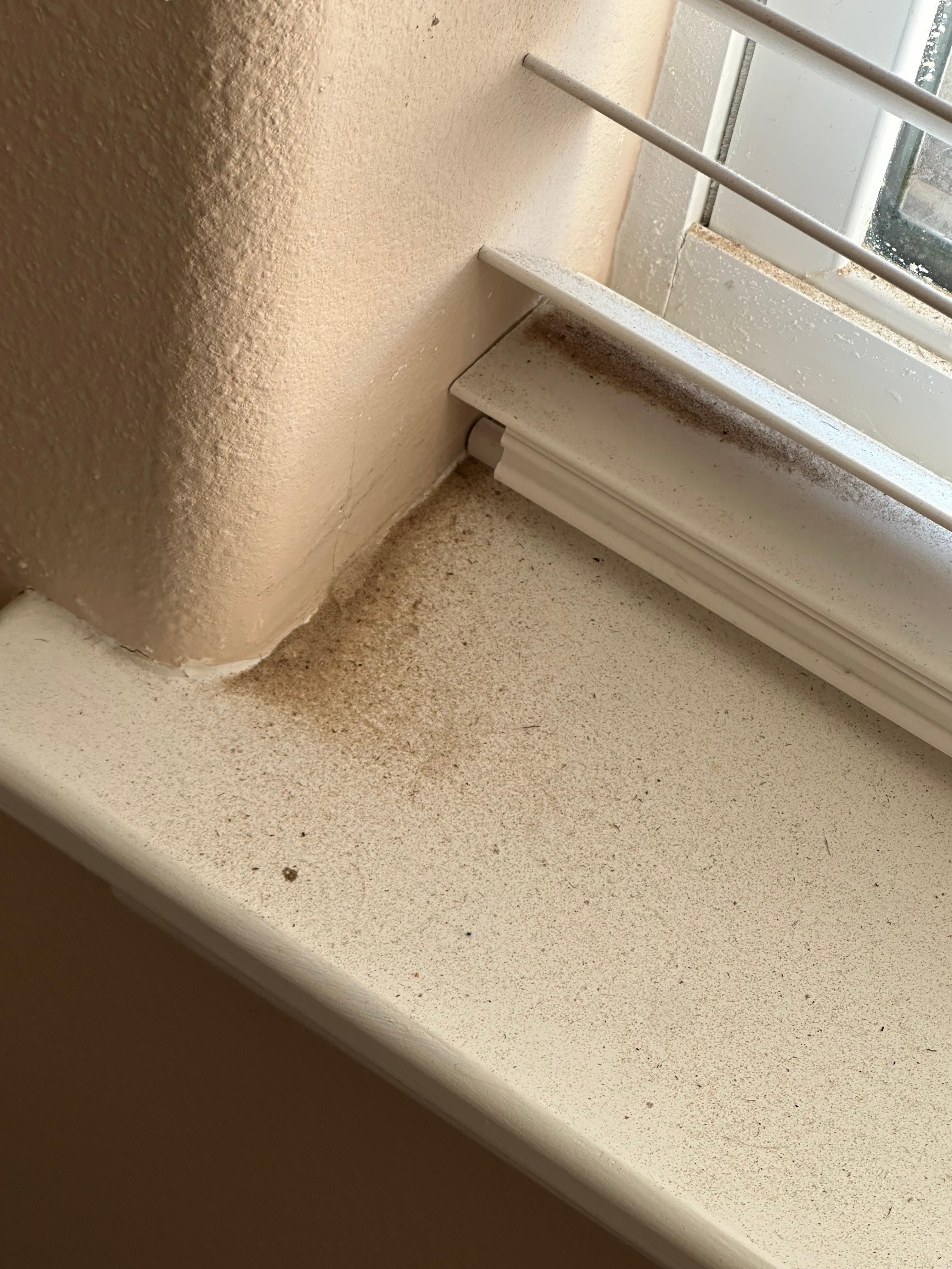 Dirt on molding 