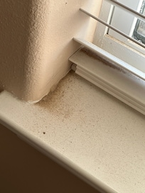 Dirt on molding