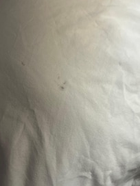 Bedding