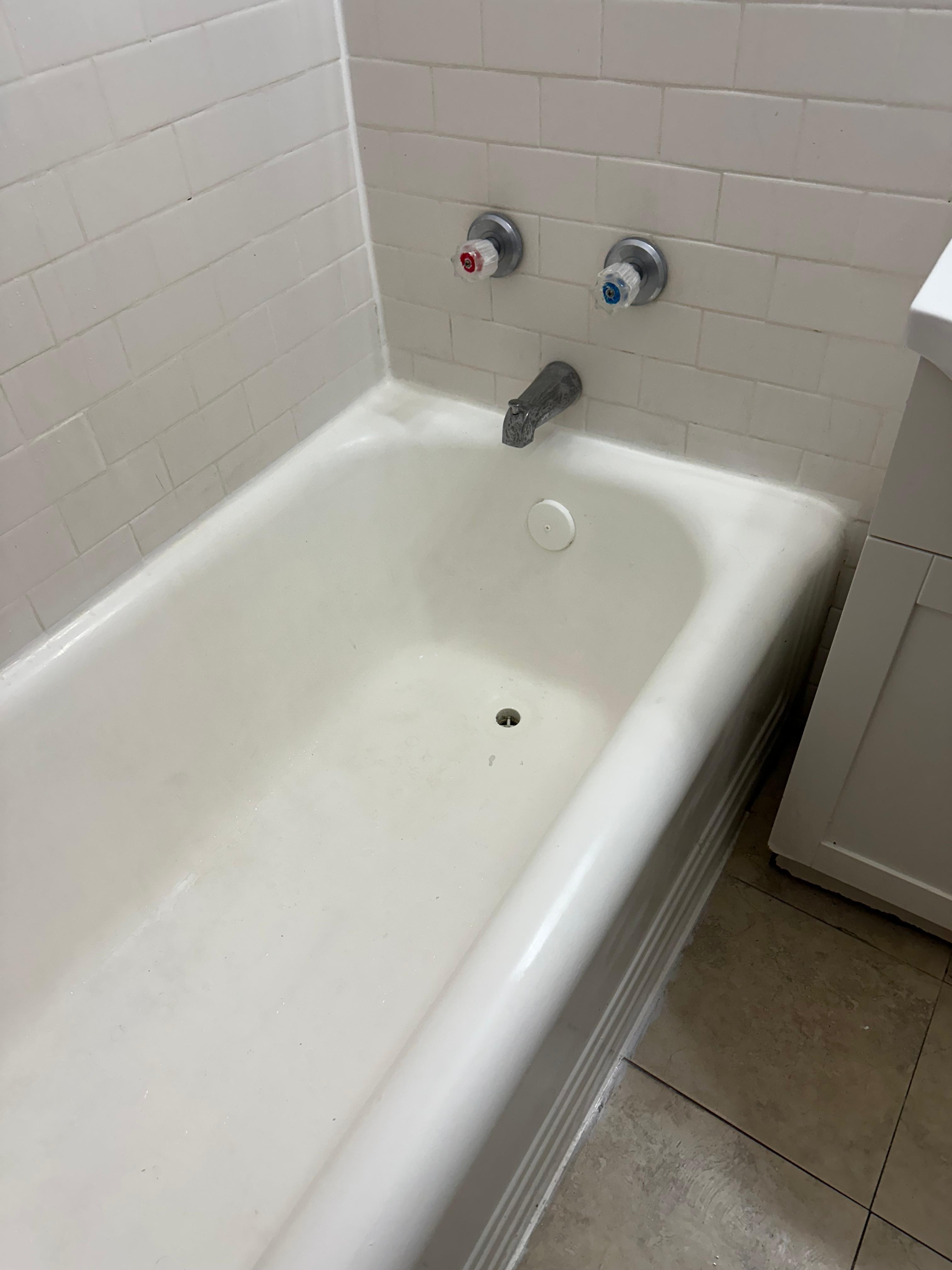 The bathtub was really dirty.