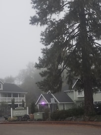 Taken from just off the property on early morning walk. At night, there are lights in the tree and gazebo