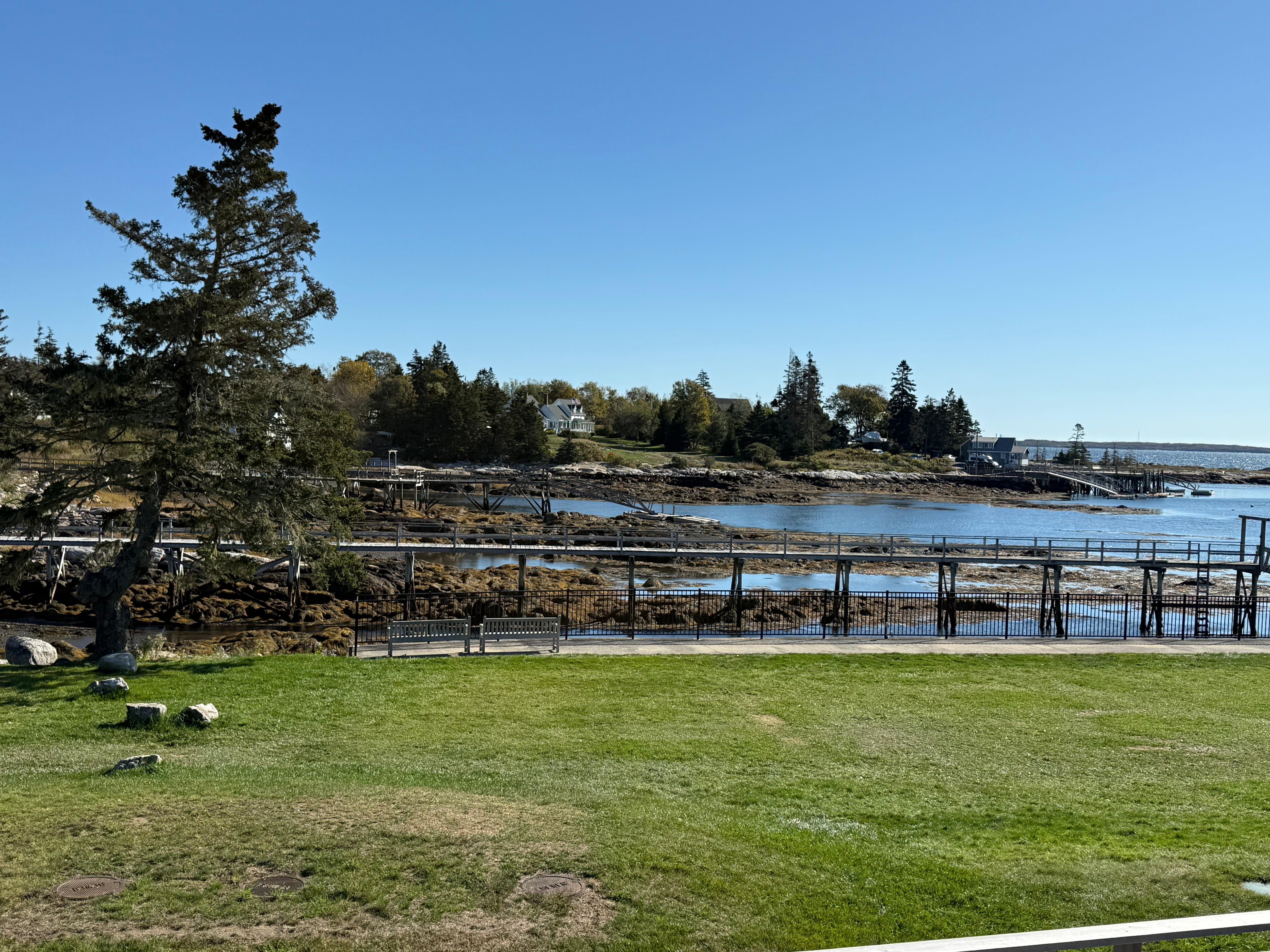 View of the coast from the garden
